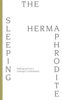 The Sleeping Hermaphrodite