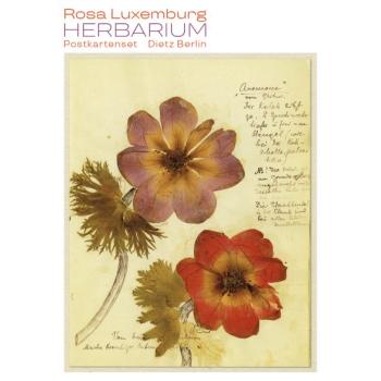 Herbarium