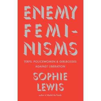 Enemy Feminisms