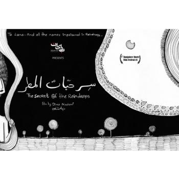 The Secret of the Raindrops