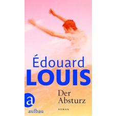 Der Absturz